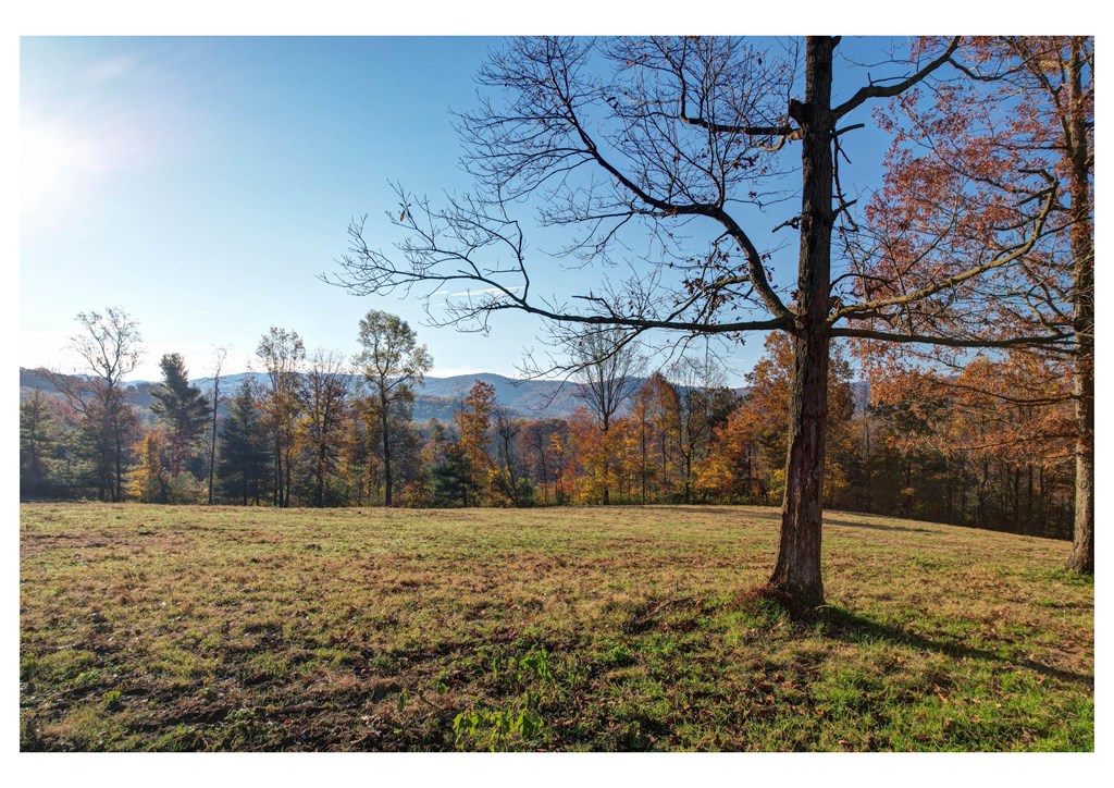 434296 Ellijay Active