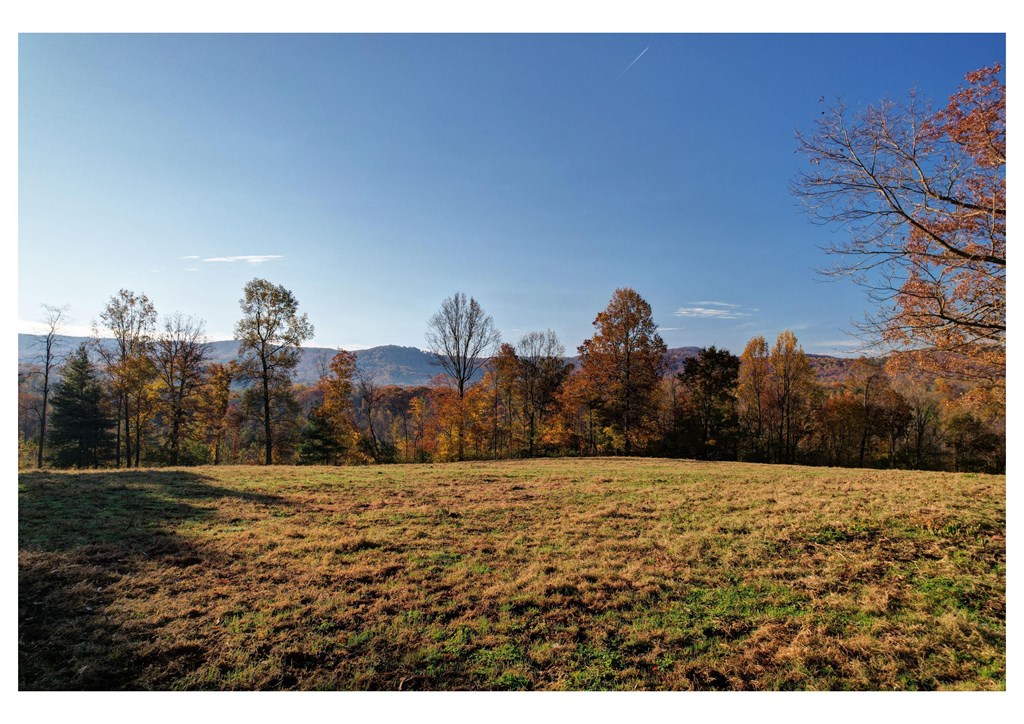 434296 Ellijay Active