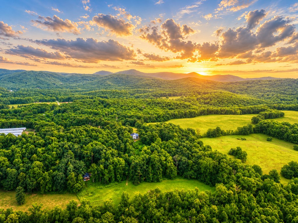 434296 Ellijay Active