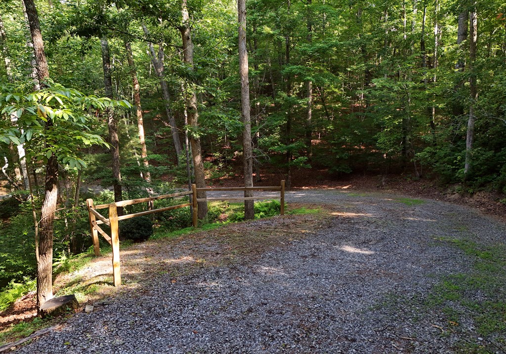 434310 Blue Ridge Active