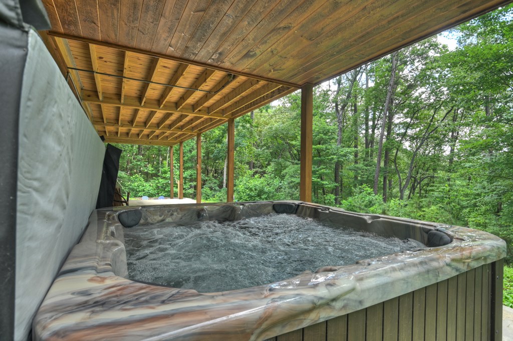 434313 Mineral Bluff Active