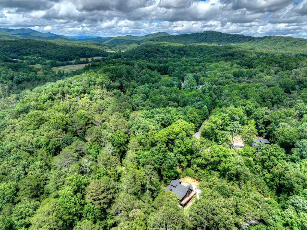 434313 Mineral Bluff Active