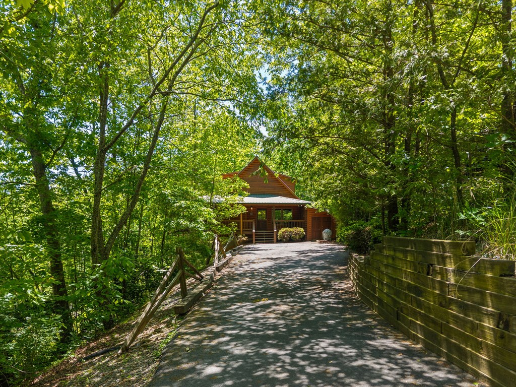 434316 Blue Ridge Active