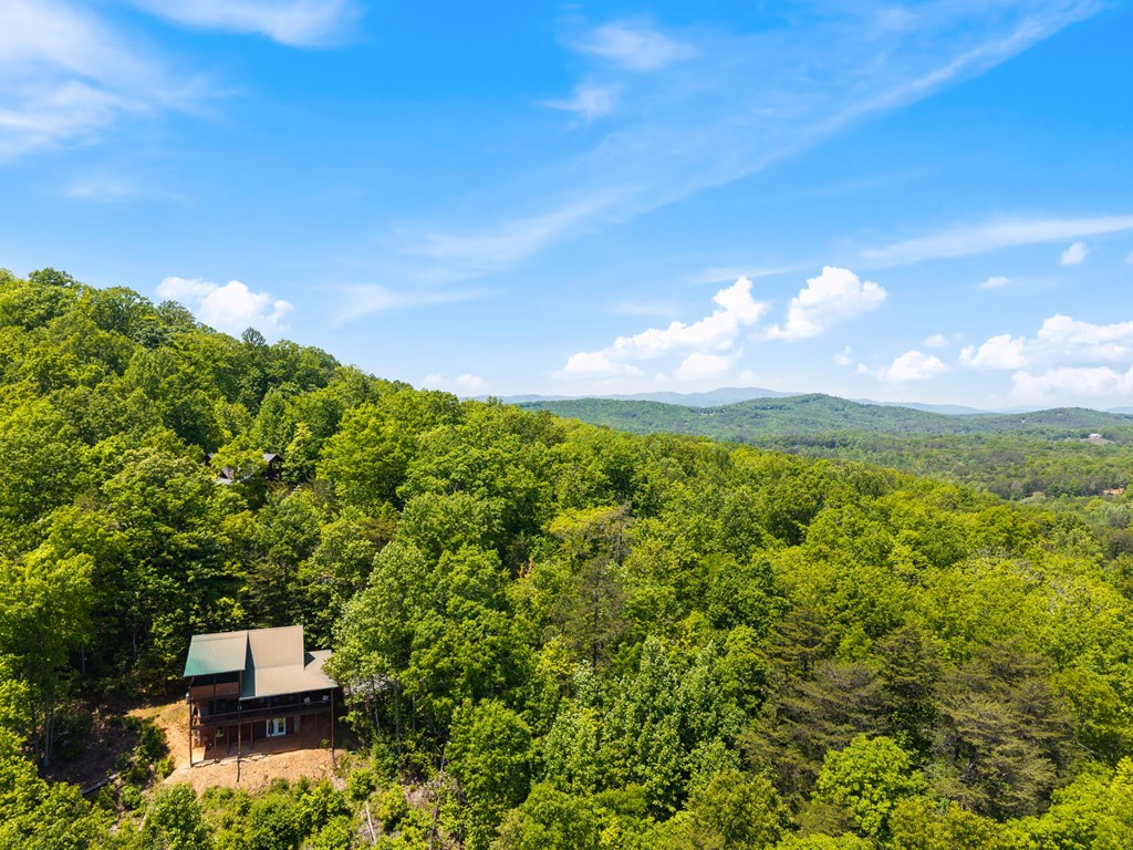 434316 Blue Ridge Active