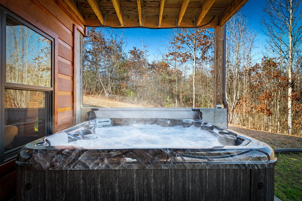 434318 Mineral Bluff Active