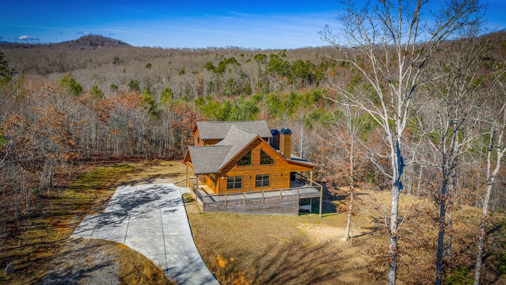 434318 Mineral Bluff Active