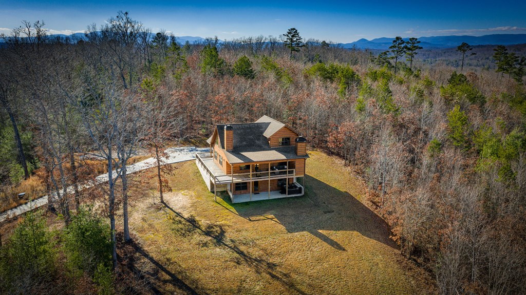 434318 Mineral Bluff Active