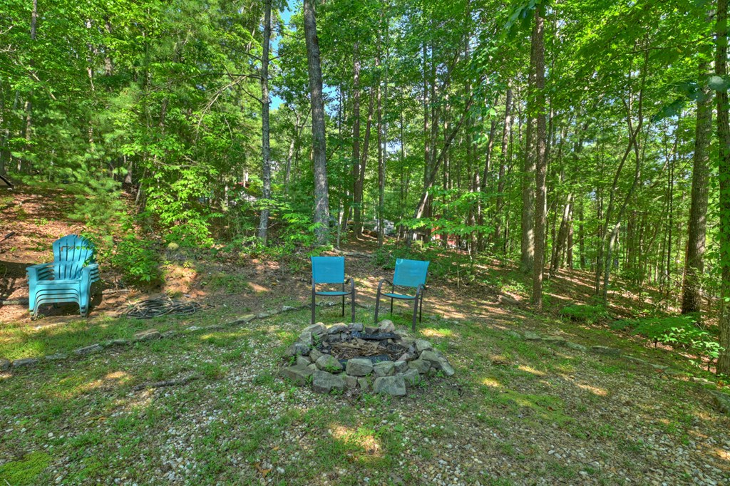 434321 Blue Ridge Active