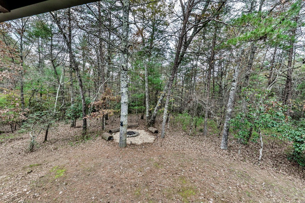 434352 Blue Ridge Active
