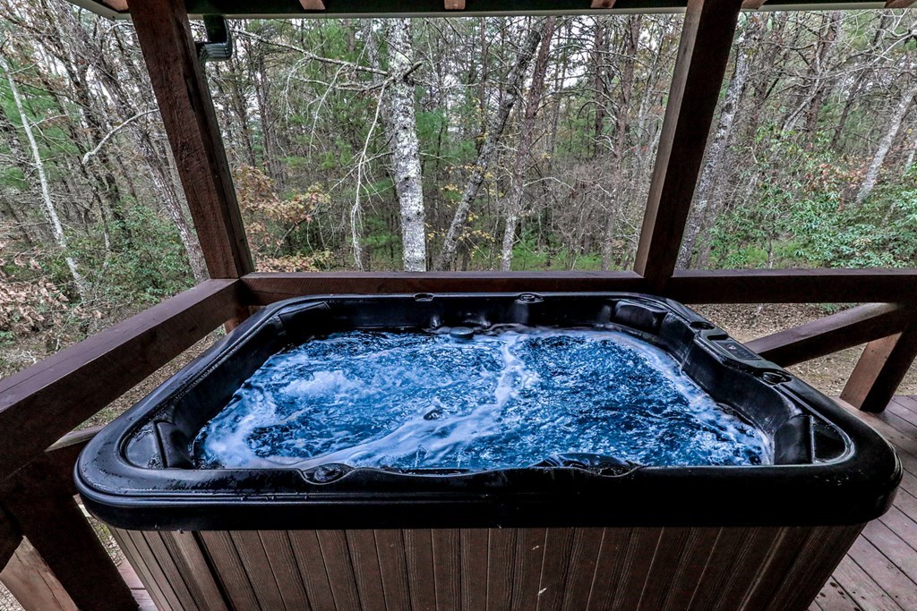 434352 Blue Ridge Active