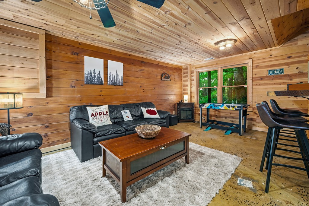 434371 Ellijay Active