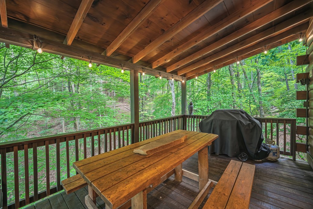 434371 Ellijay Active