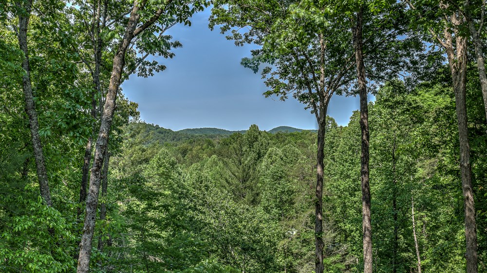 434388 Blue Ridge Active