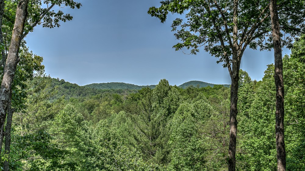 434388 Blue Ridge Active