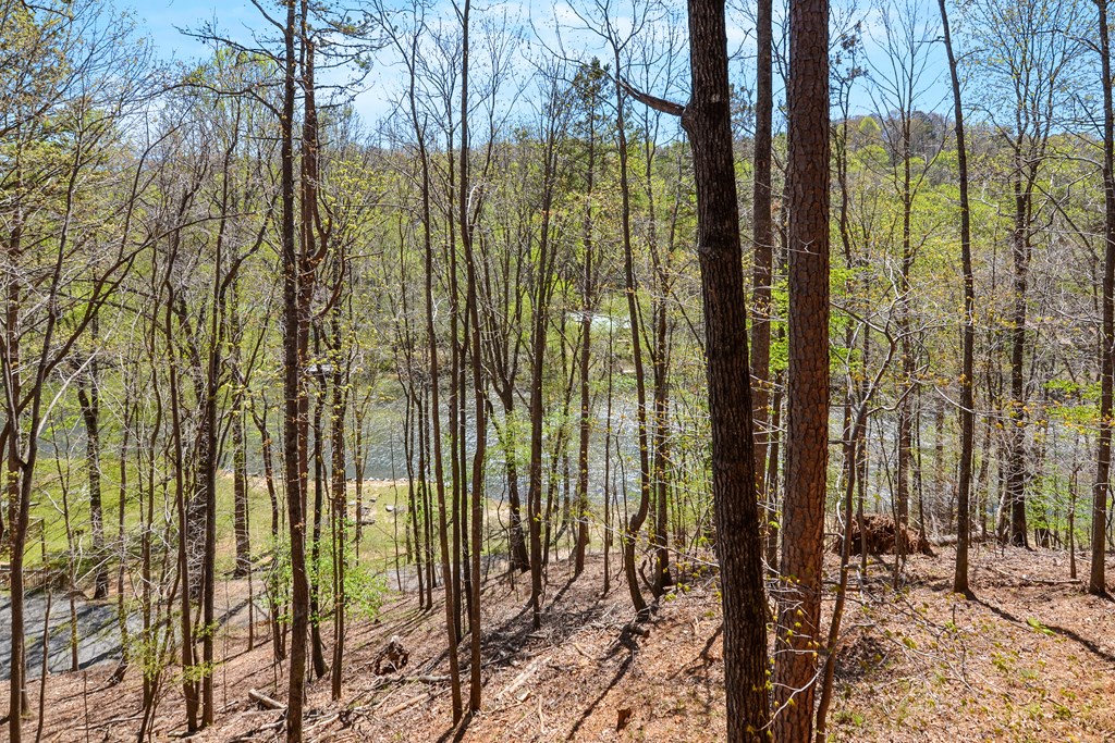434389 Ellijay Active