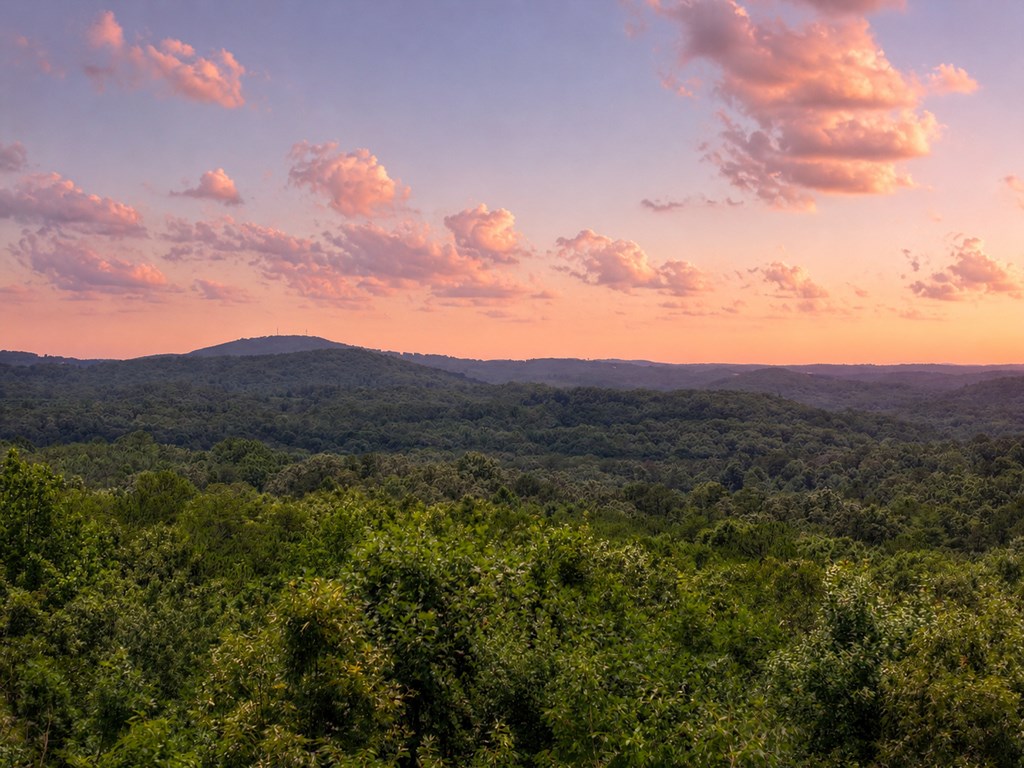 434414 Ellijay Active
