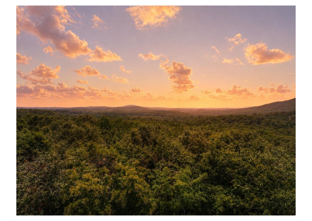 434414 Ellijay Active