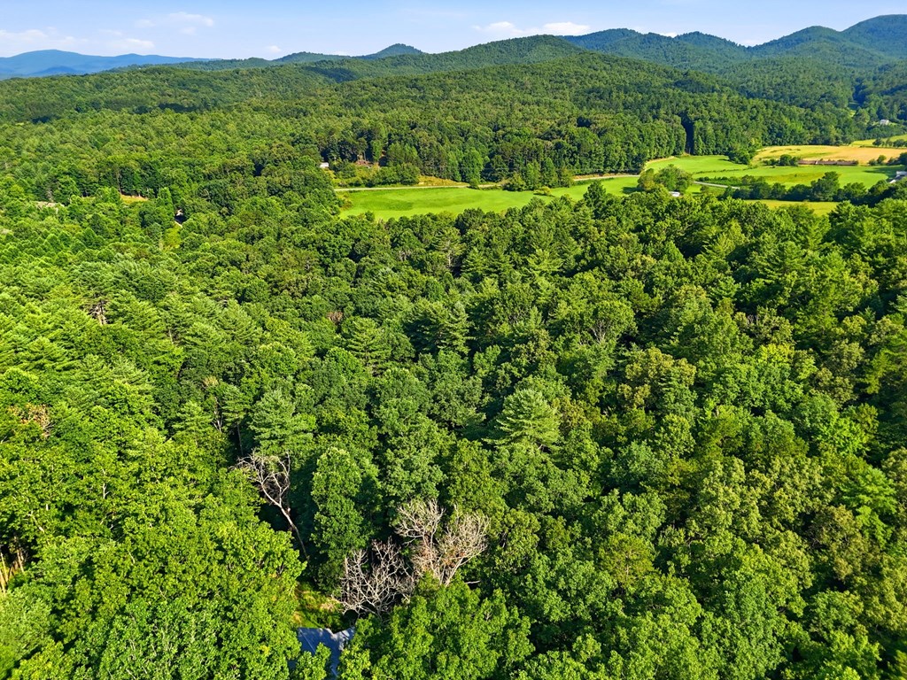 434467 Blue Ridge Active
