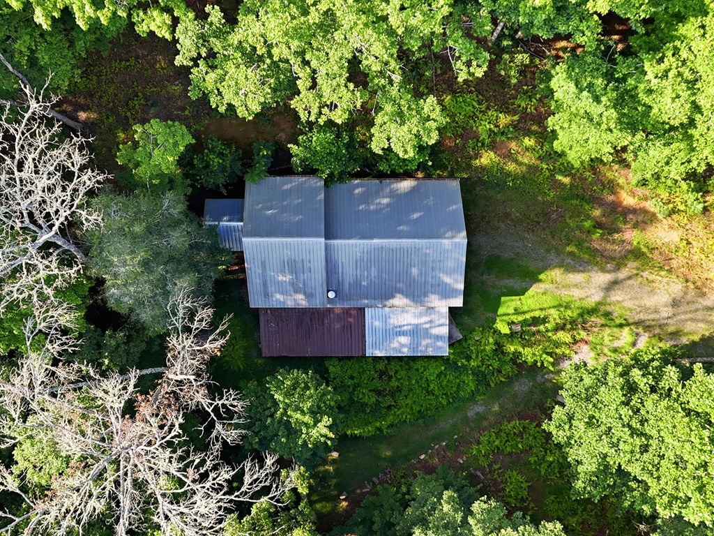 434467 Blue Ridge Active