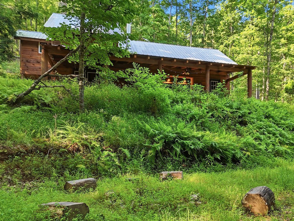 434467 Blue Ridge Active