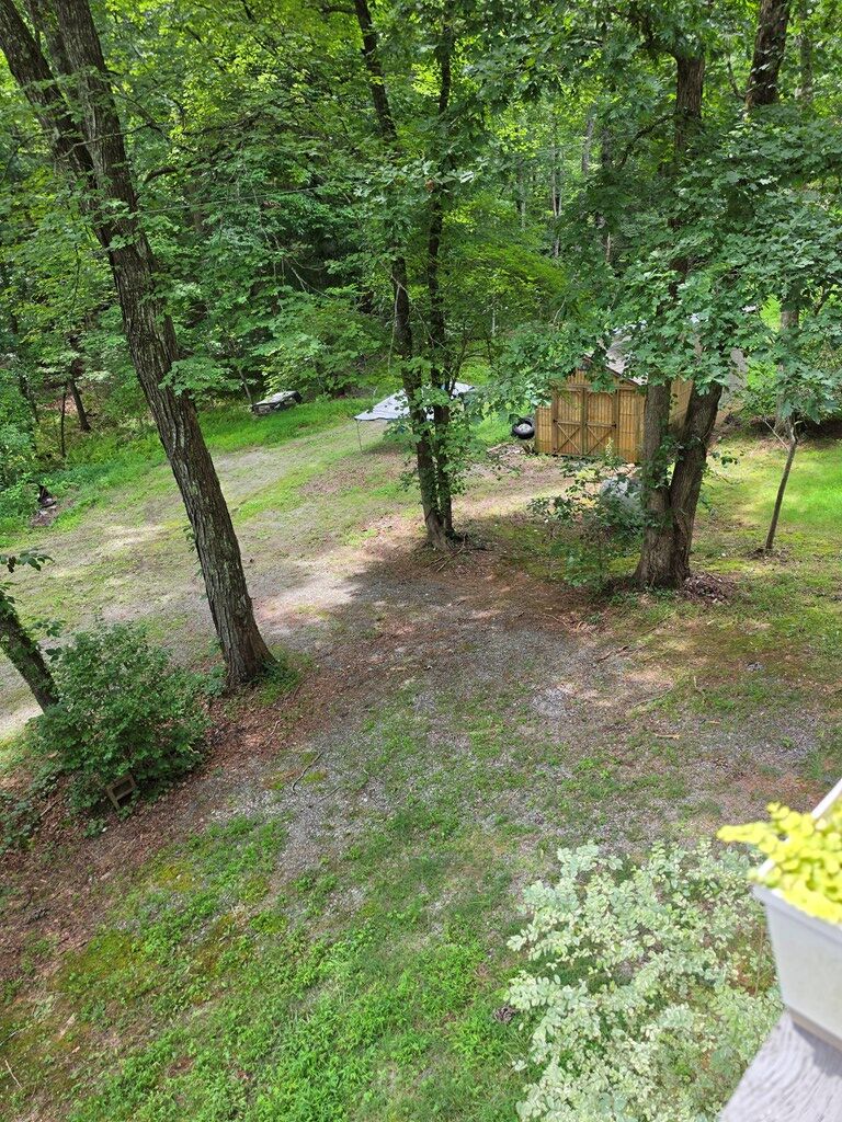 434485 Mineral Bluff Active