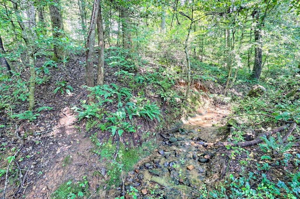 434509 Hayesville Active