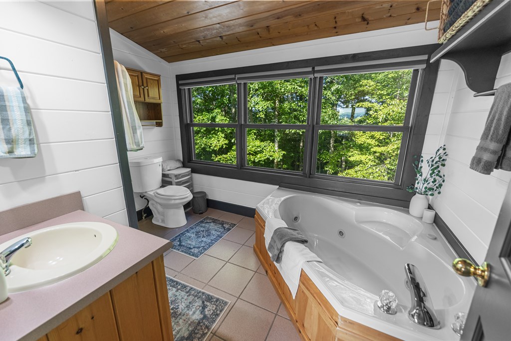 434537 Blue Ridge Active