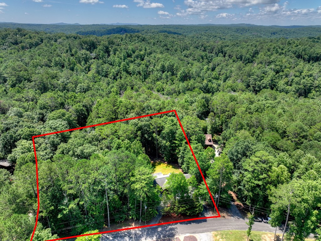 434540 Ellijay Active
