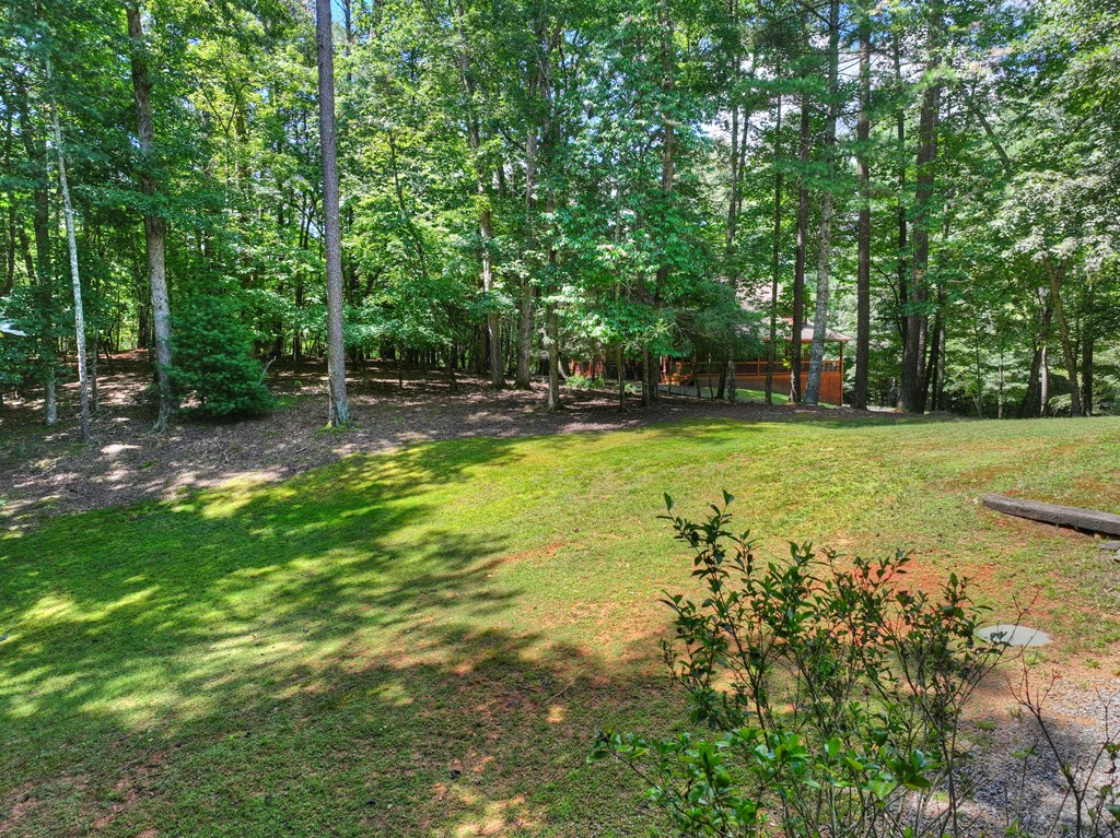 434540 Ellijay Active