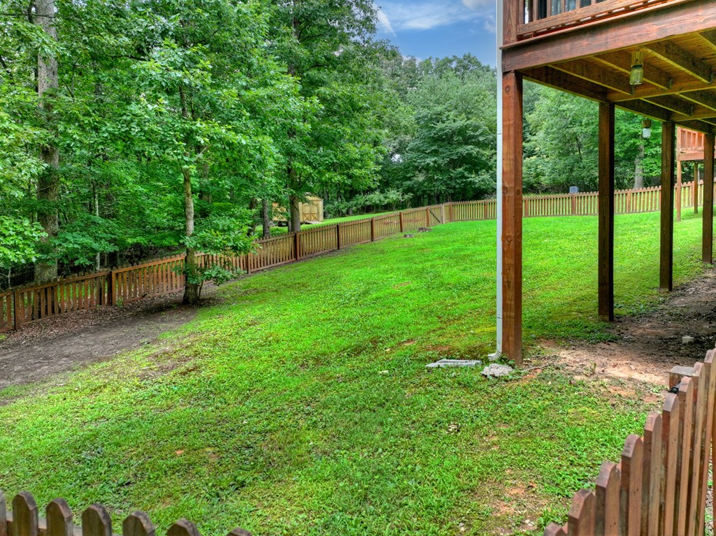 434542 Mineral Bluff Active