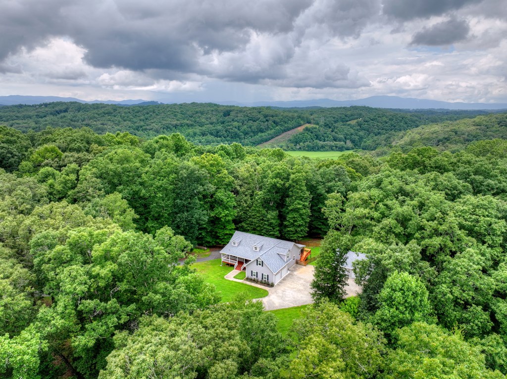 434542 Mineral Bluff Active