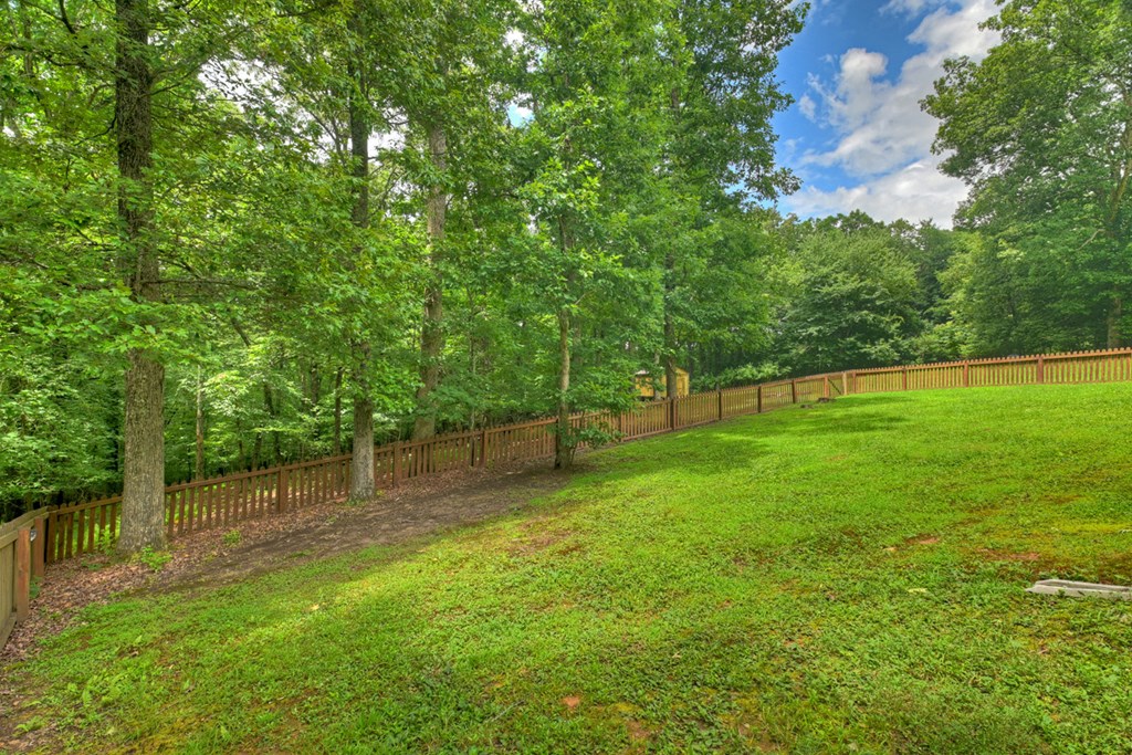 434542 Mineral Bluff Active