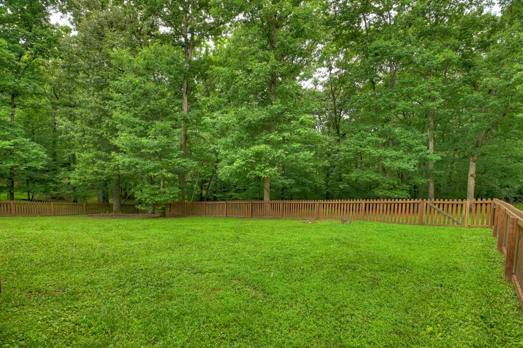 434542 Mineral Bluff Active
