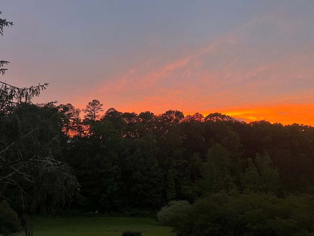 434551 Ellijay Active