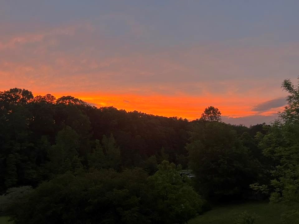 434551 Ellijay Active