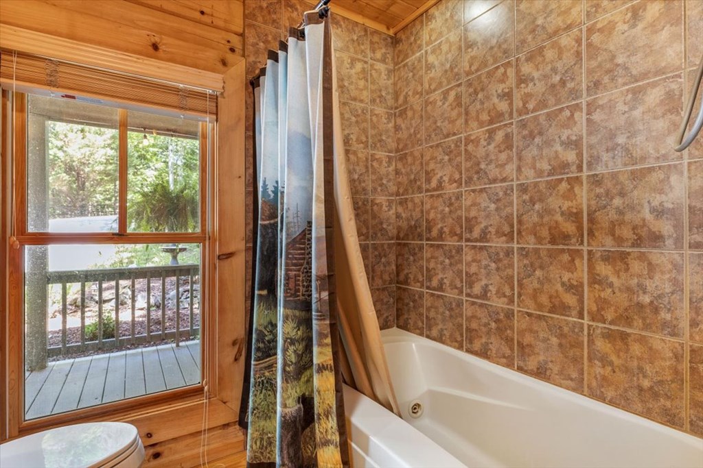 434559 Hayesville Active