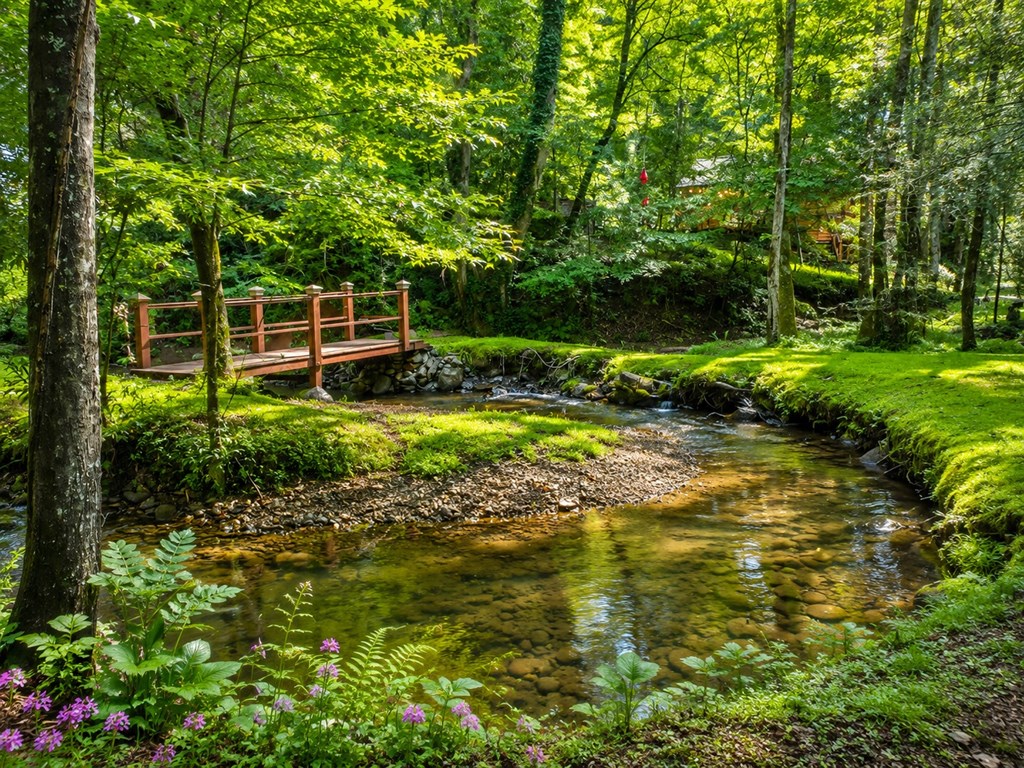 434591 Ellijay Active