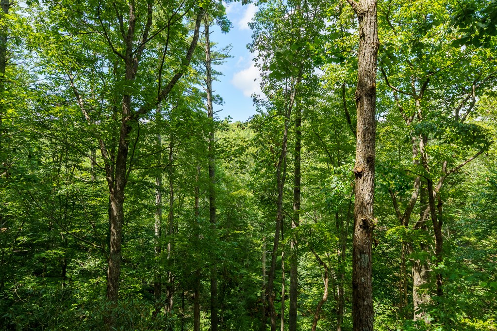 434609 Blue Ridge Pending
