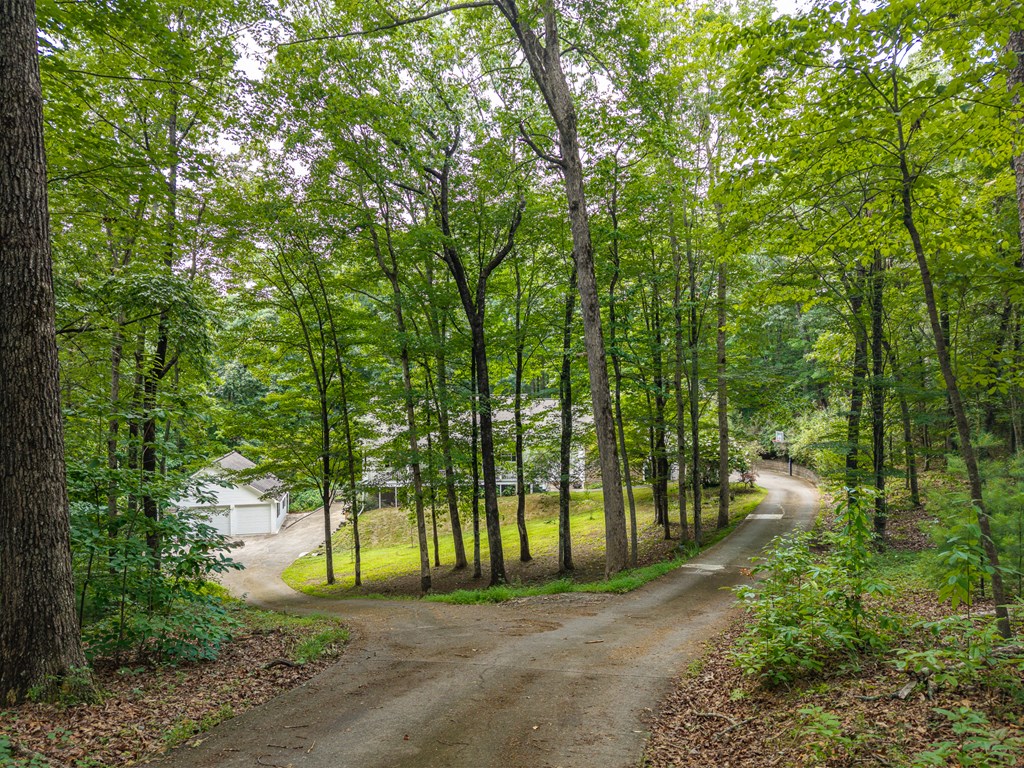 434640 Ellijay Active