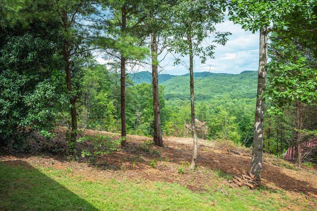 434642 Sautee Nacoochee Pending