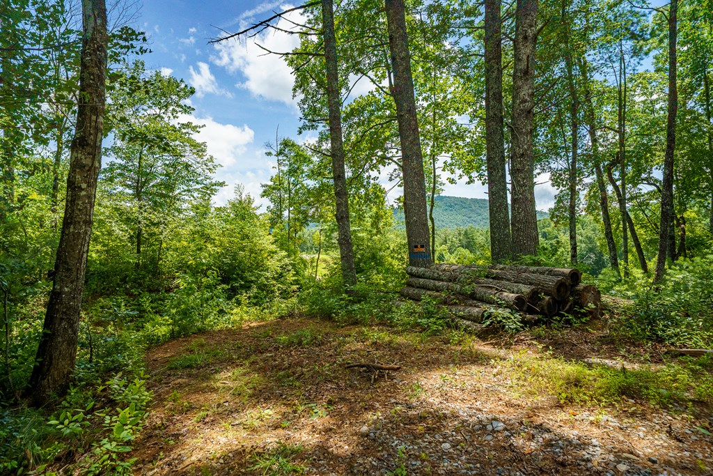 434655 Blue Ridge Active
