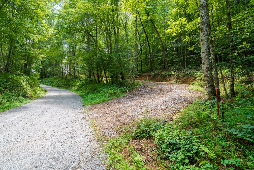 434655 Blue Ridge Active