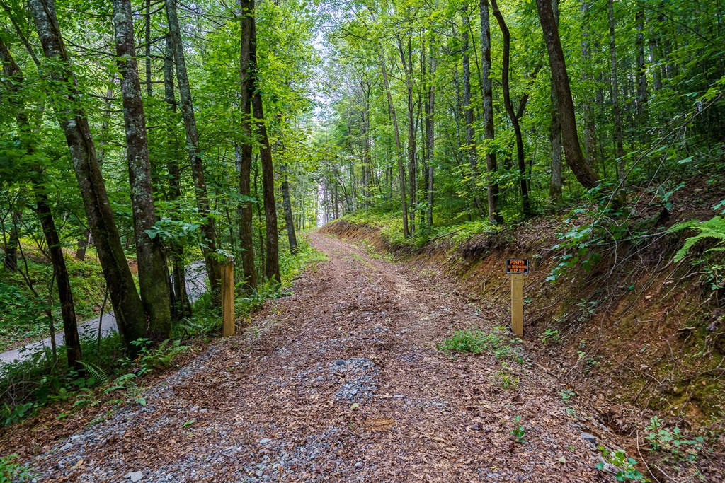 434655 Blue Ridge Active