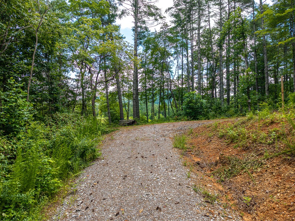 434655 Blue Ridge Active