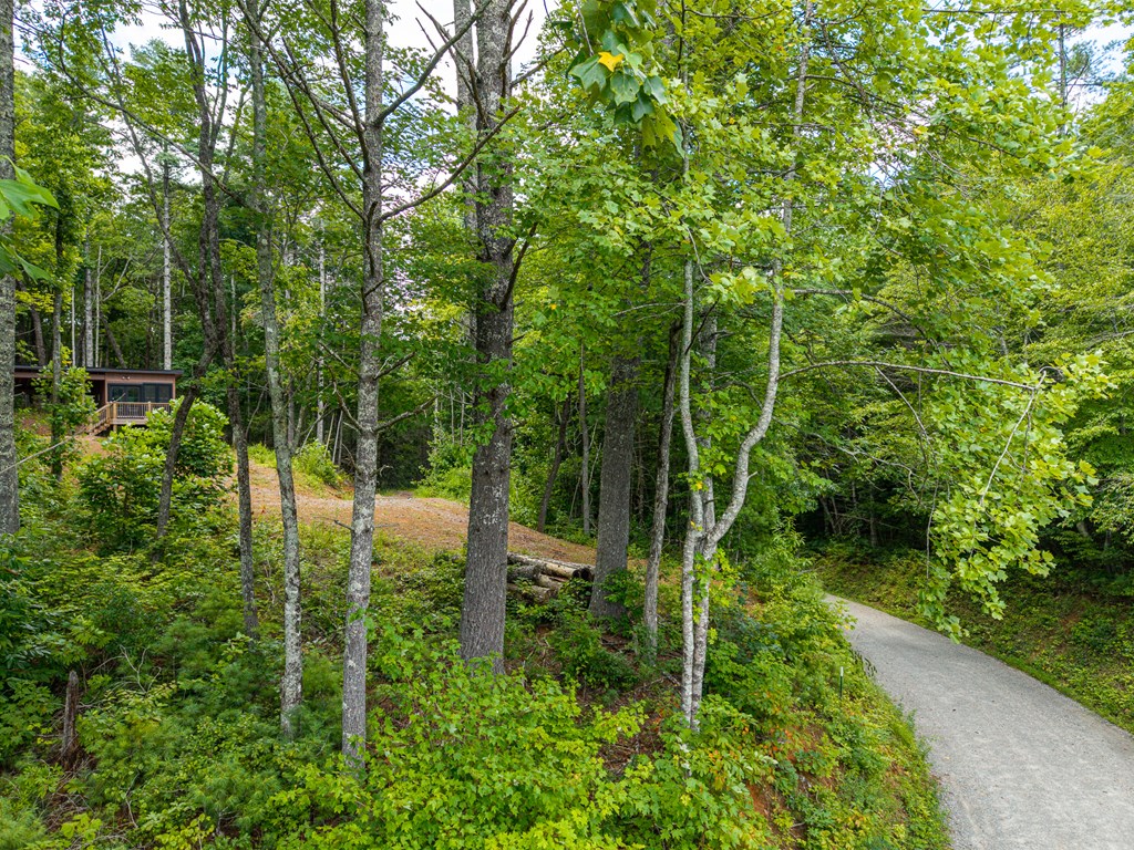 434655 Blue Ridge Active