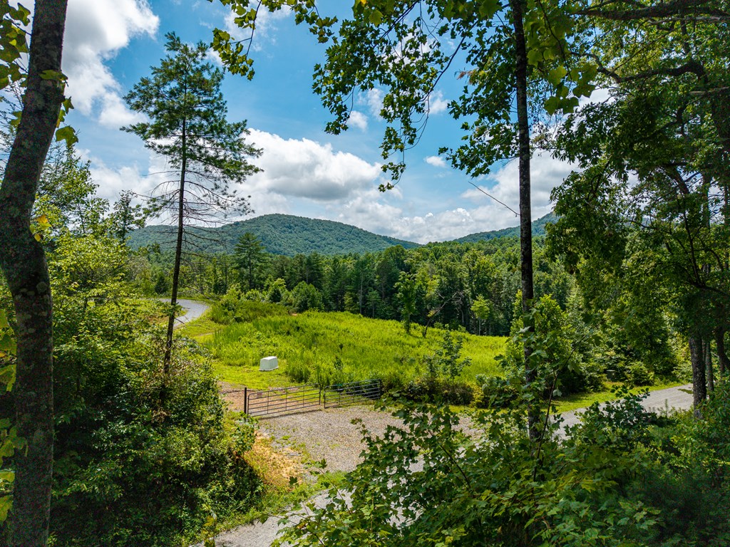 434655 Blue Ridge Active