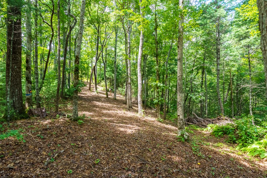 434655 Blue Ridge Active