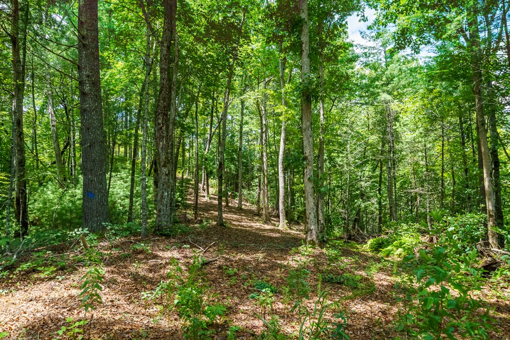 434655 Blue Ridge Active