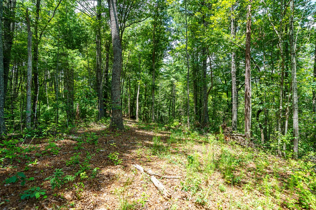 434655 Blue Ridge Active