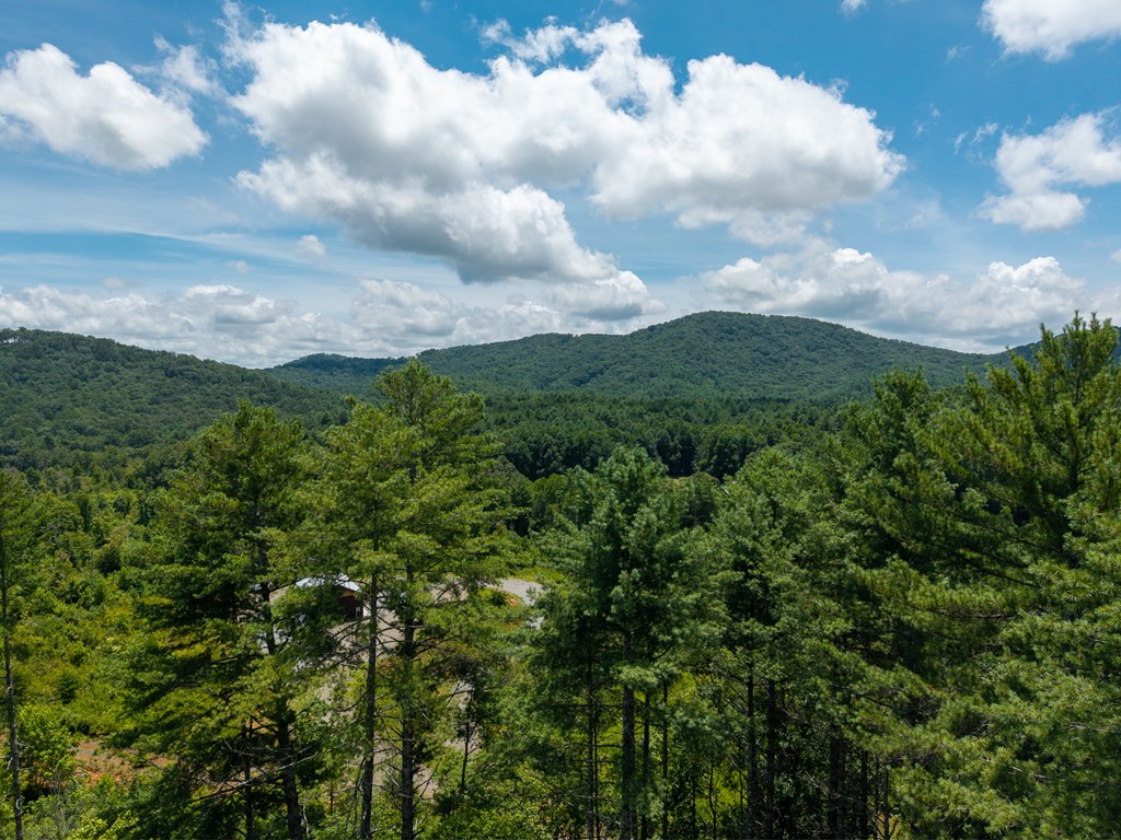 434655 Blue Ridge Active